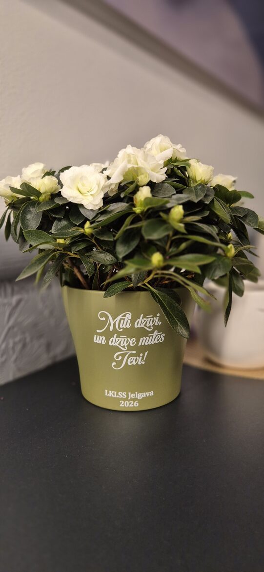 UV DFT uzlīmes